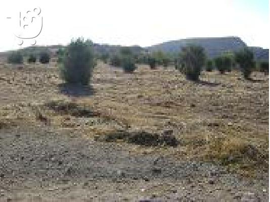 Οικόπεδο σε προνομιακή θέση και σε τιμή ευκαιρίας...